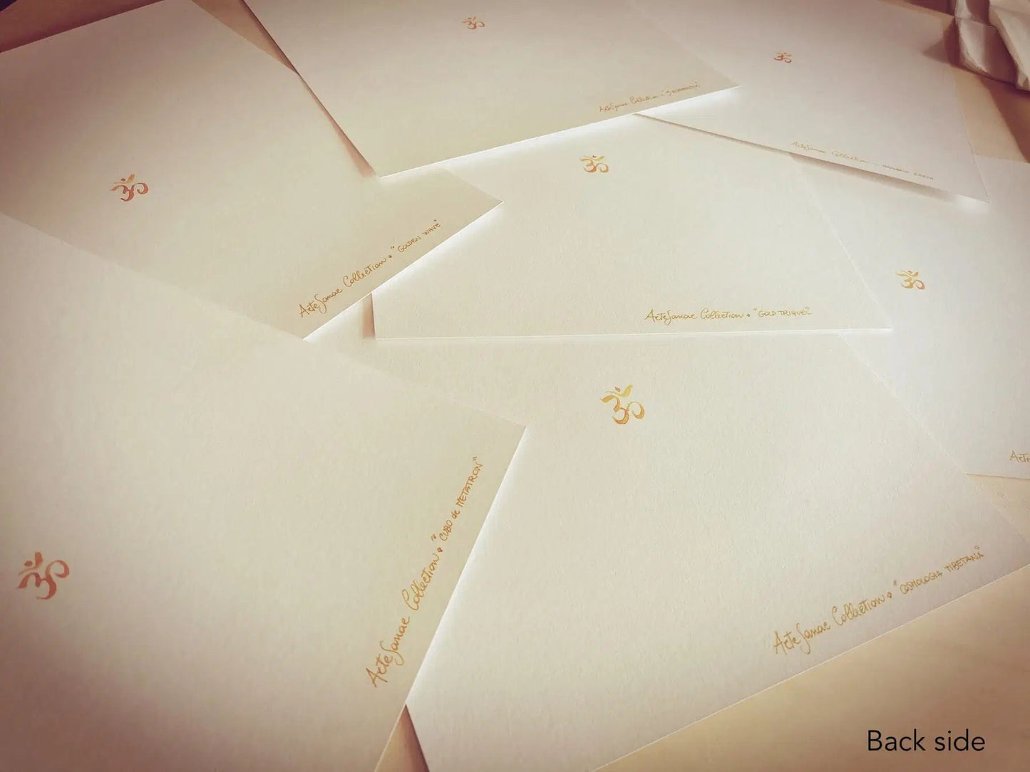 PIntura OM detras de la lamina