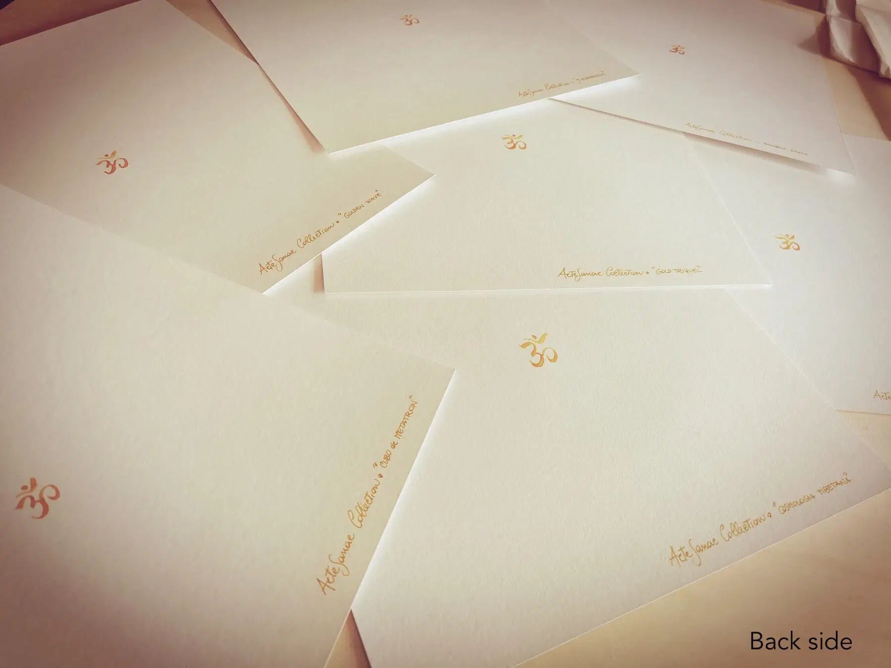 PIntura OM detras de la lamina