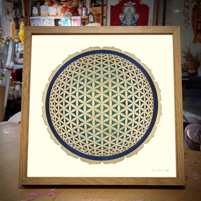 mandala Flor. dela Vida enmarcado